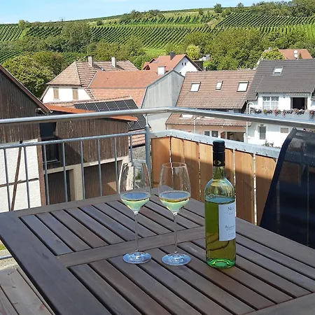 Weinbergblick Lejlighed Auggen